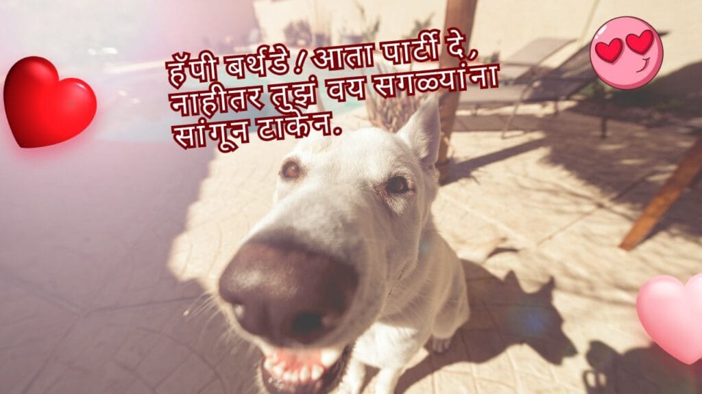 वाढदिवसाच्या हार्दिक शुभेच्छा SMS: विनोदी संदेश