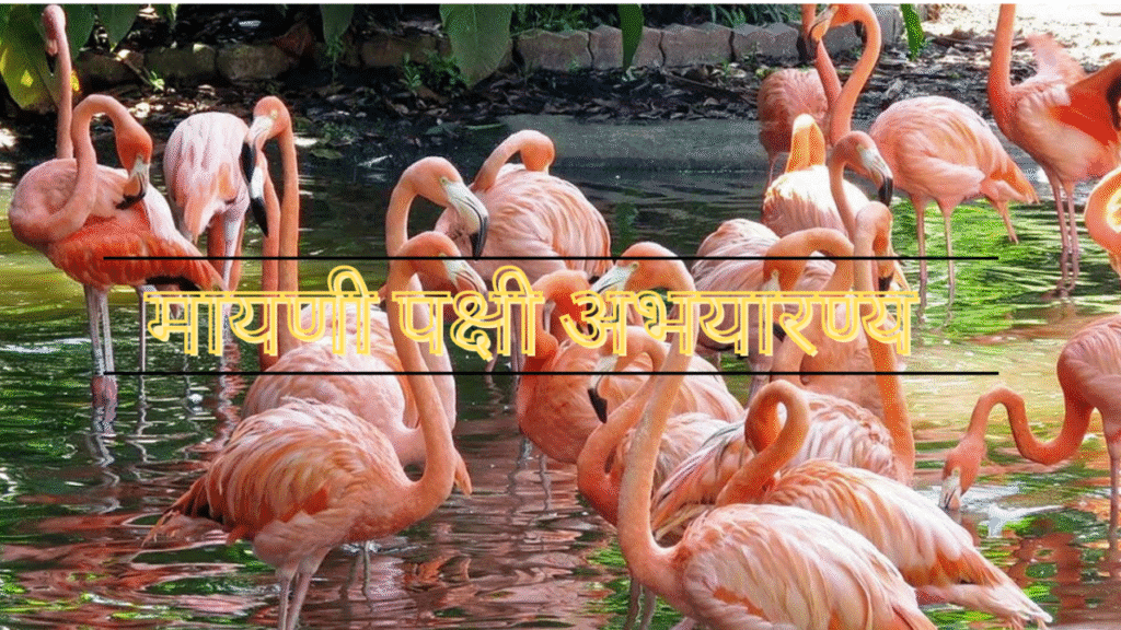 सातारा जिल्ह्यातील पर्यटन स्थळे